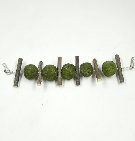 Pet molar supplies