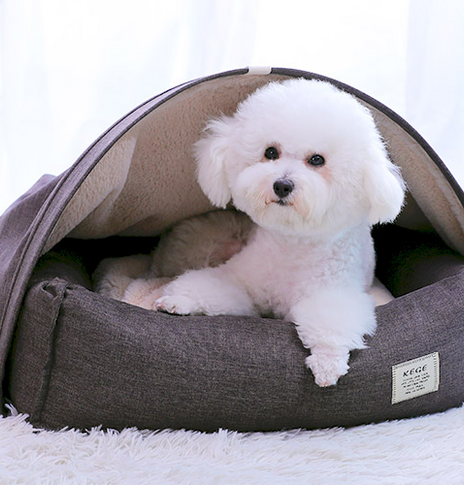 Pet tent