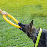 Pet Frisbee EVA Training Ring Puller