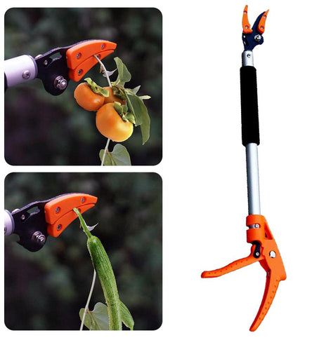 Garden Persimmon Grape Peach Tree Branch Durable Long Shearing Tool