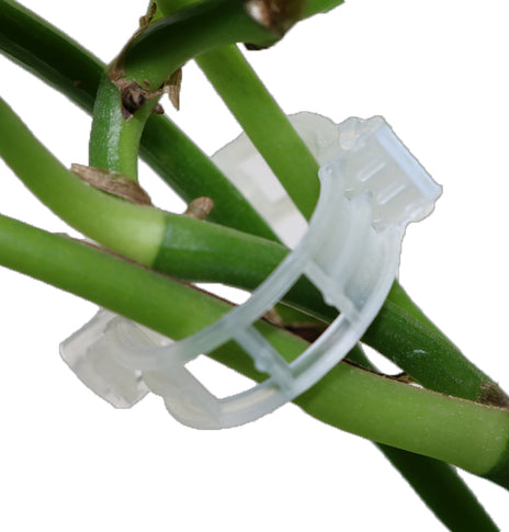 Garden Supplies Pliers Plants 50 Pieces