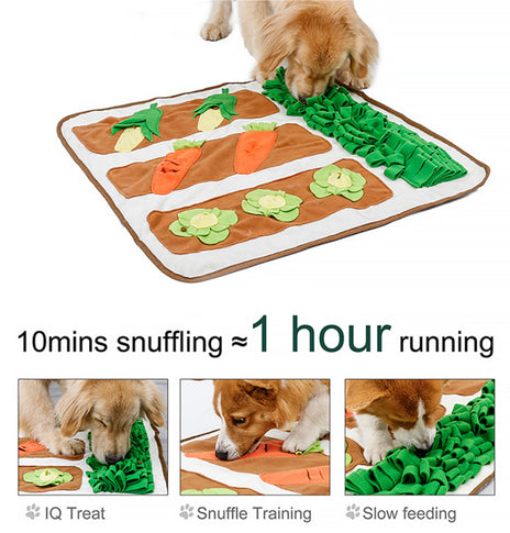 Pet Smelling Mat