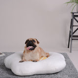 Poached Egg Pet Nest