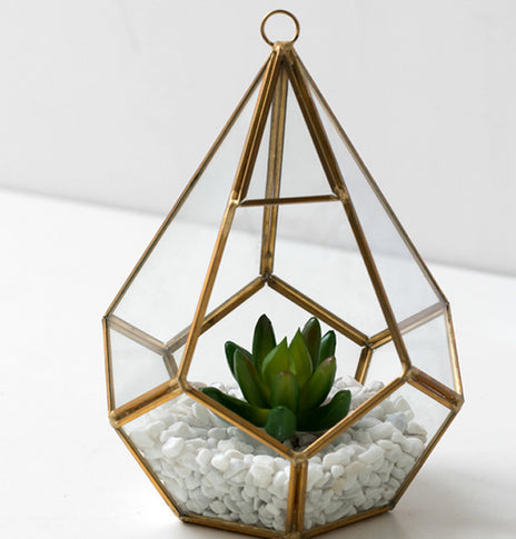 Home Succulent Decoration Bonsai Decoration