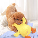 Dog Plush Toy Pet Vocal Toy Huayuan Pet