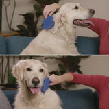 Pet Hair Remover Brush Gentle Pet Grooming Brush