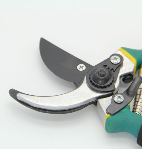 Garden Shears Fruit Tree Shears Pruning Shears