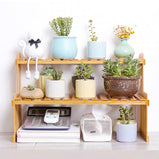 Office Simple Desktop Potted Flower Stand